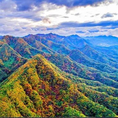 Profile image of 존 레드필드