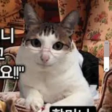 Profile image of 할머니