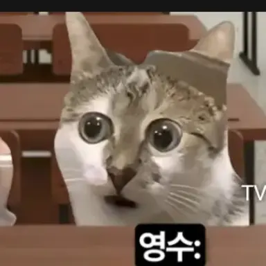 Profile image of 영수