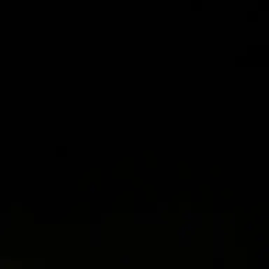 Profile image of 김도영