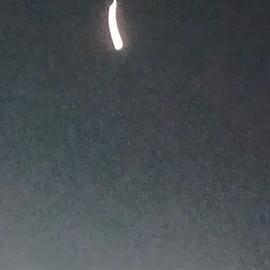 Profile image of 백현