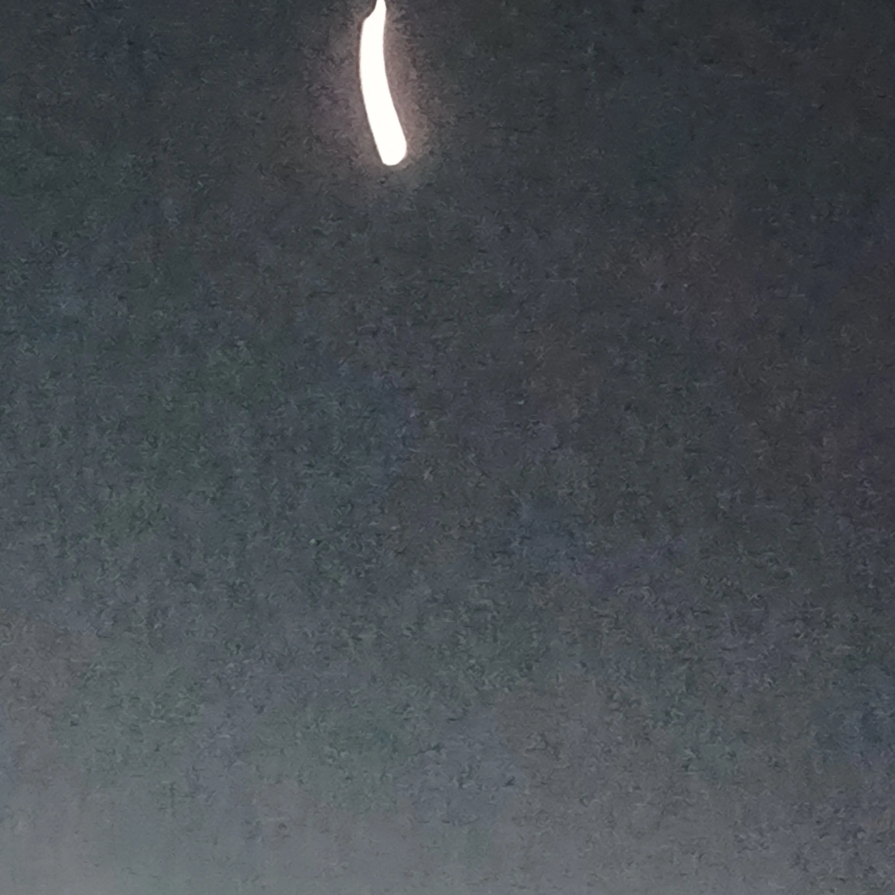 HonestHead5334의 고고프렌즈+여우