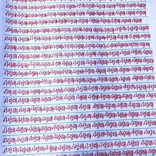 정병백사헌 대표 이미지