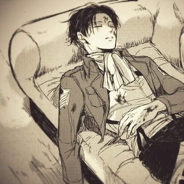 LovingValve9583의 리바이 아커만