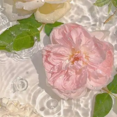 Profile image of 강세라