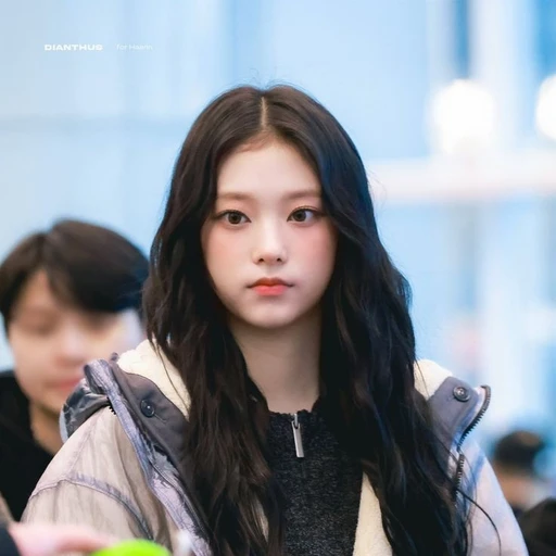 해린