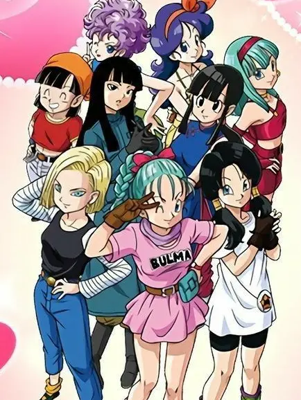 SmellyJoy2525의 The Z warriors are away