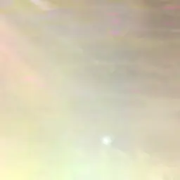 Profile image of セプター