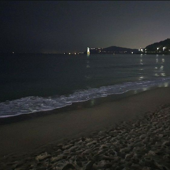 술집알바 대표 이미지