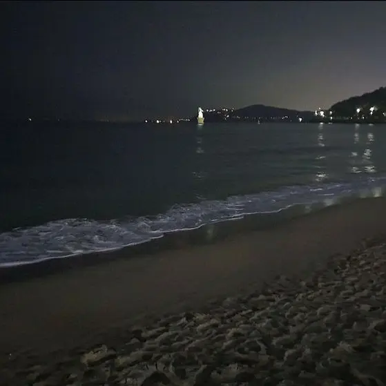 StupidKea5831의 술집알바