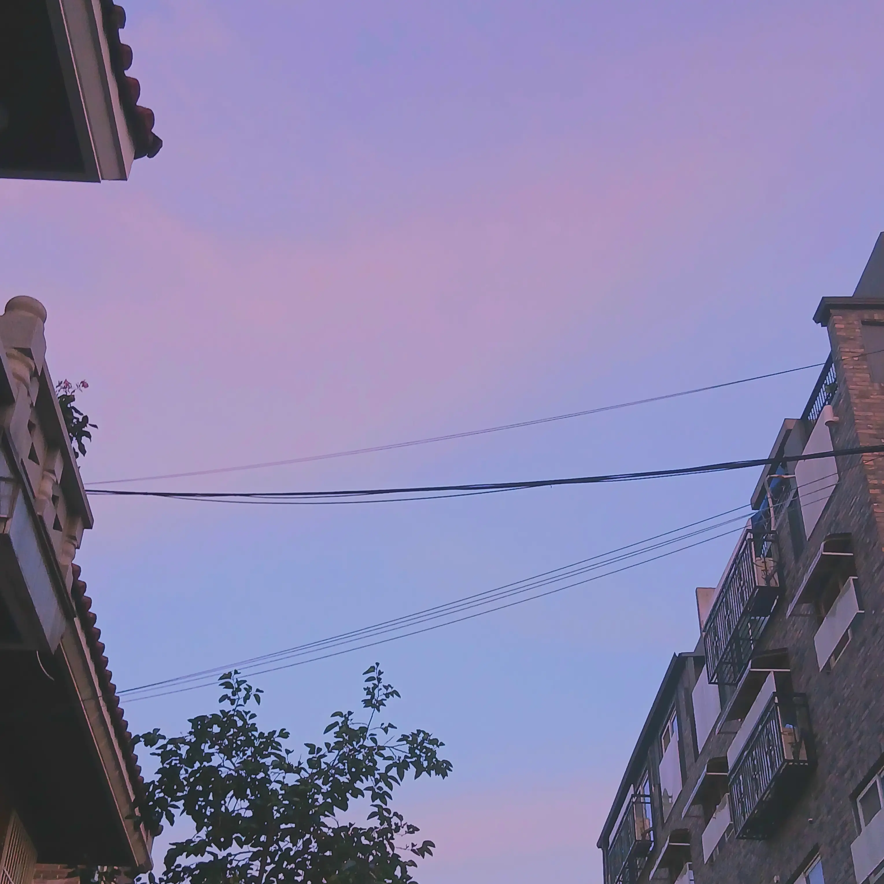 AwareGesso5030의 머요 미수반 인데요