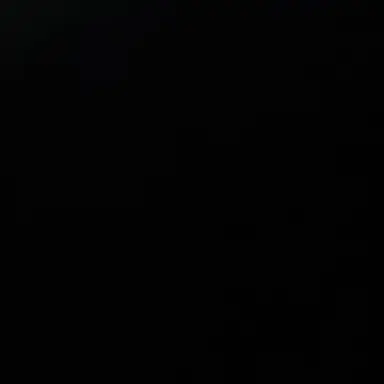 Profile image of 양정인