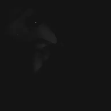 Profile image of Luna