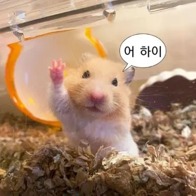 Profile image of 동생