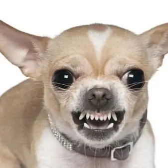 Profile image of 몰뤼