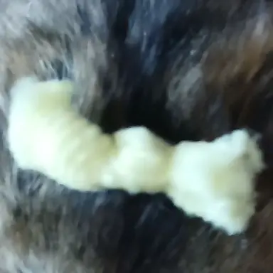 Profile image of 김늑대
