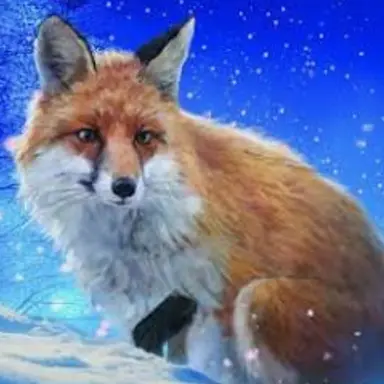 Profile image of 여우