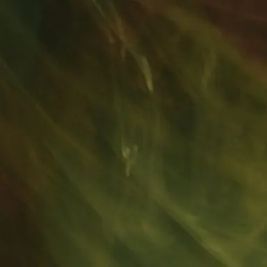 Profile image of ハン