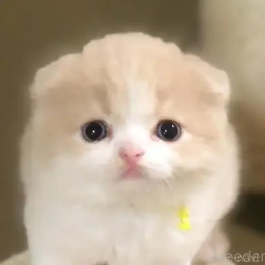 Profile image of クリちゃん