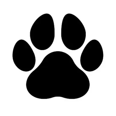 Profile image of 박덕개