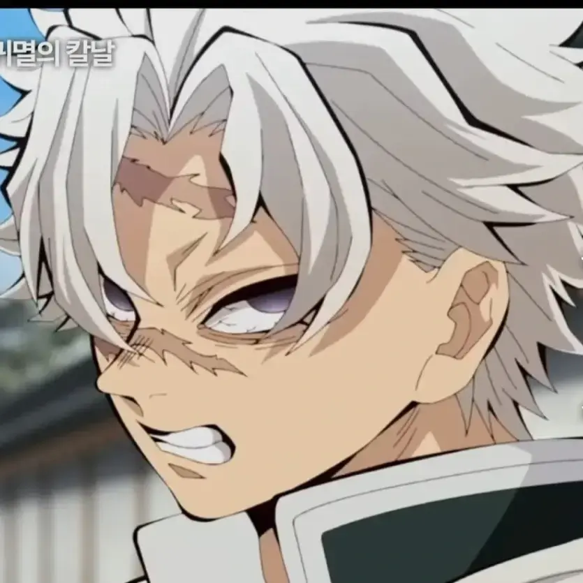 StableAnise7739의 시나즈가와 사네미