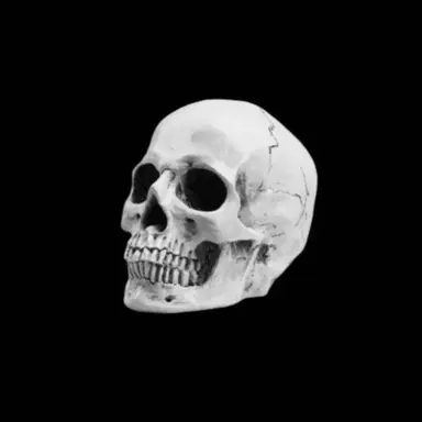 Profile image of Eleanor