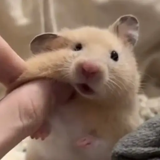 Lukkai의 이류이