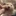 이류이