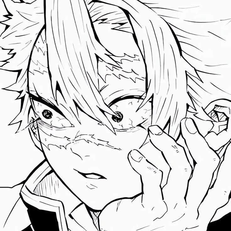 시나즈가와 사네미