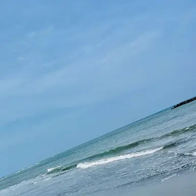 Profile image of コンプレス