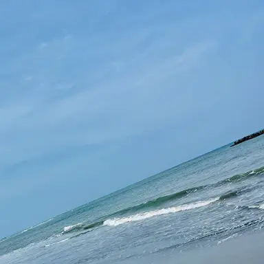 Profile image of 死柄木