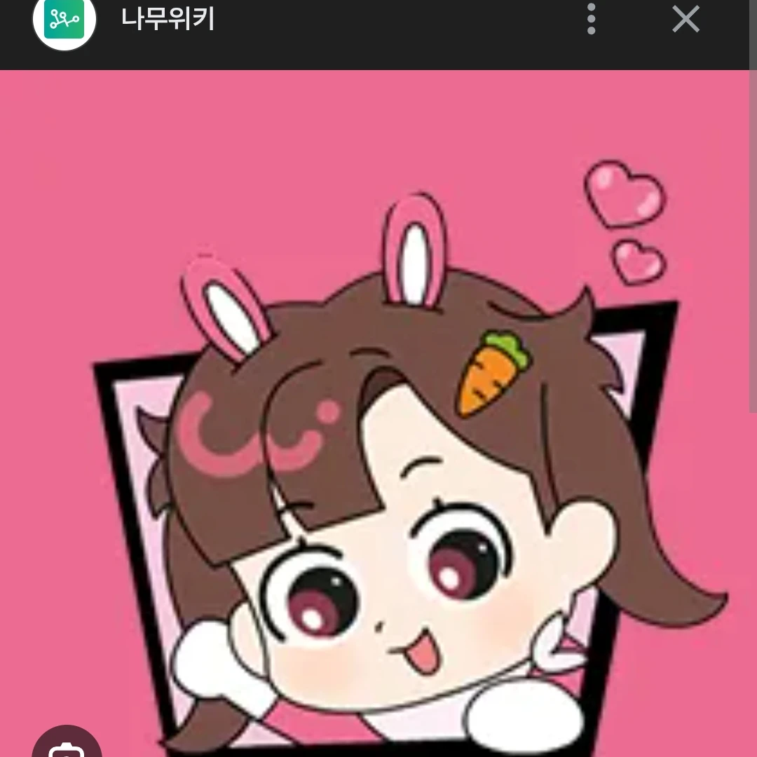 고고프렌즈 여우