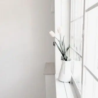 Profile image of 이즈아