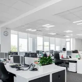 MeekOil0219의 남초회사 생활기