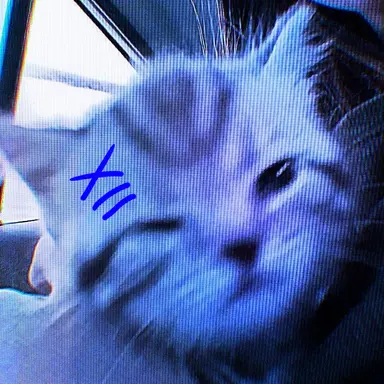 Profile image of 잭