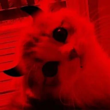 Profile image of 류