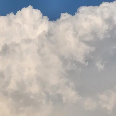 Profile image of 99일밤 케대헌