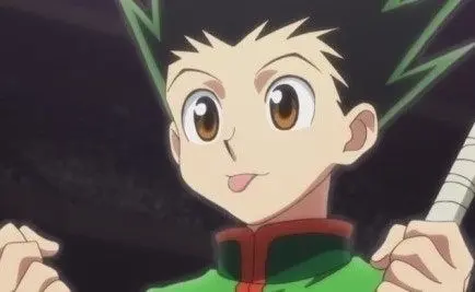 Profile image of Gon Freecss