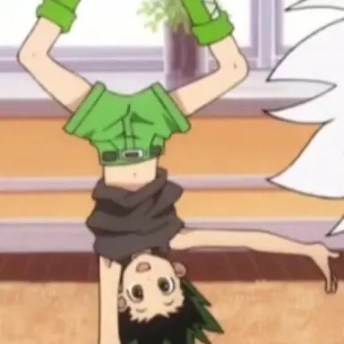 Profile image of Gon Freecss