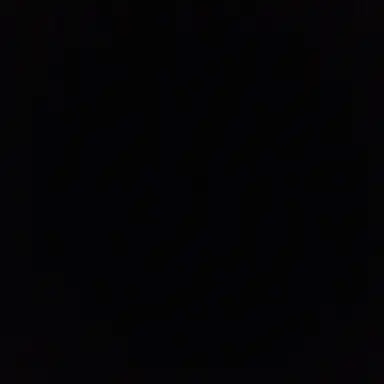 Profile image of 레이