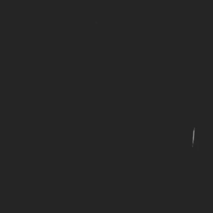 류