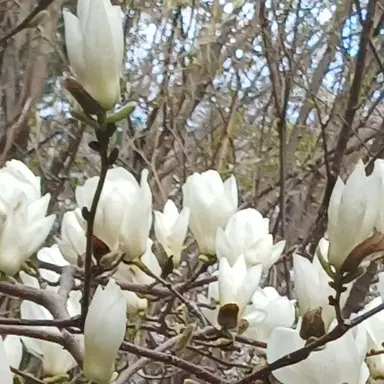 Profile image of 우유참치