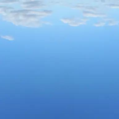 Profile image of 벨키