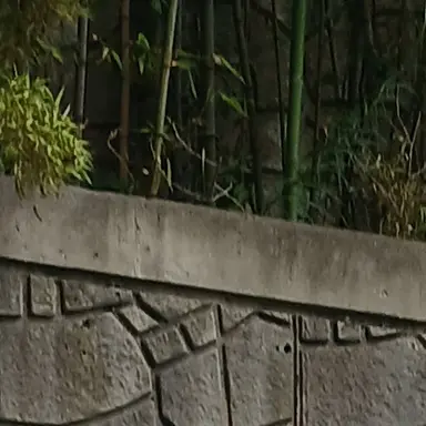 Profile image of 밥풀