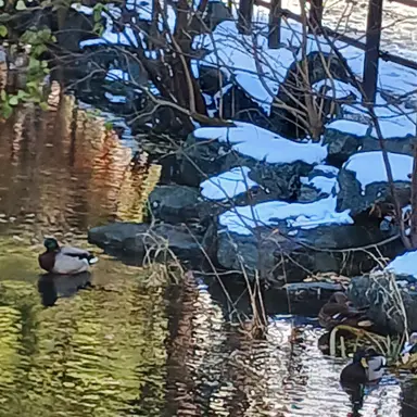 Profile image of 유기사