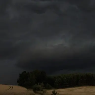 Profile image of 우융