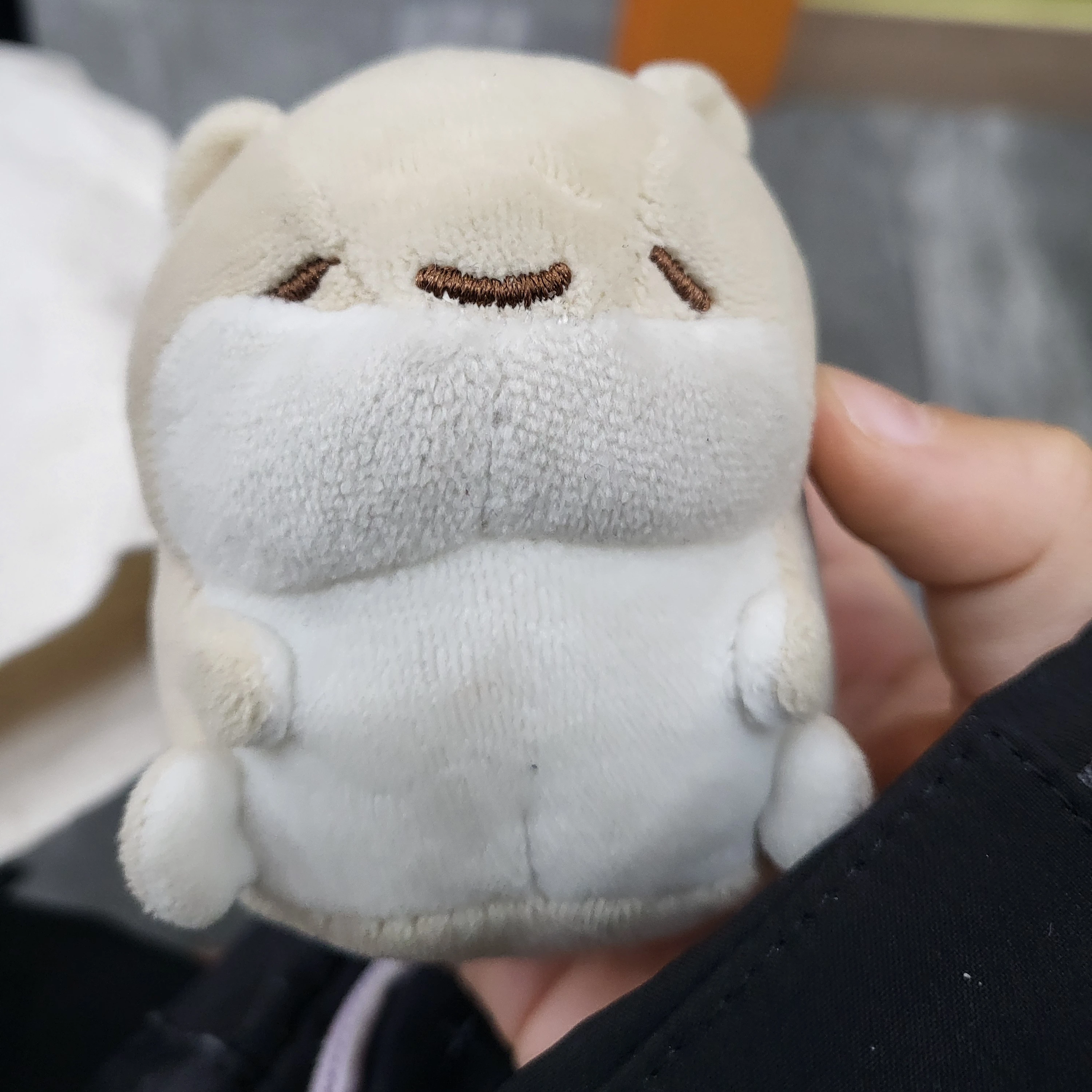 유튜버 치즈