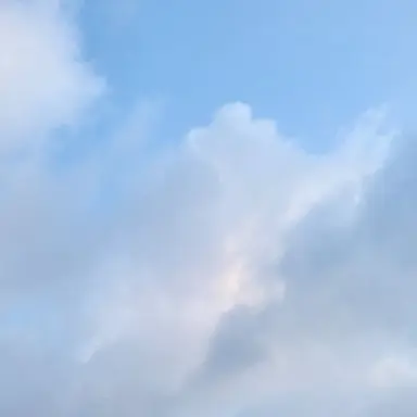 Profile image of 흑역사