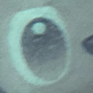 정민