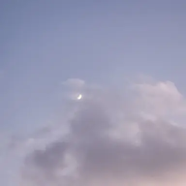 Profile image of 헬멧단